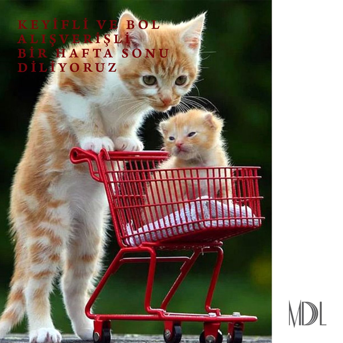 Modalinepark's tweet photo. KEYİFLİ VE BOL ALIŞVERİŞLİ BİR HAFTA SONU DİLİYORUZ,,,
#antalya #modalinepark
#abiye#indirim#elbise#fashion#dress#weddingdress#sale#instamood#shopping#lifestyle#bluz#etek https://t.co/zCcLzOaeVB