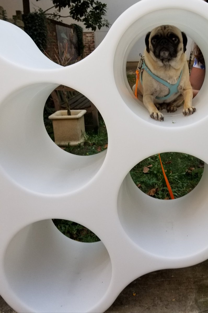 Mr.Wugggly Treats tweet media