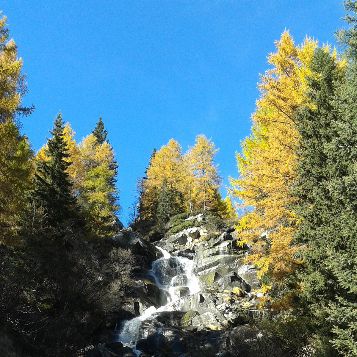 GardaTrekking's tweet photo. Rimango incantato dai colori dell'autunno! #gardatrekking https://t.co/BhFSzlo6mj