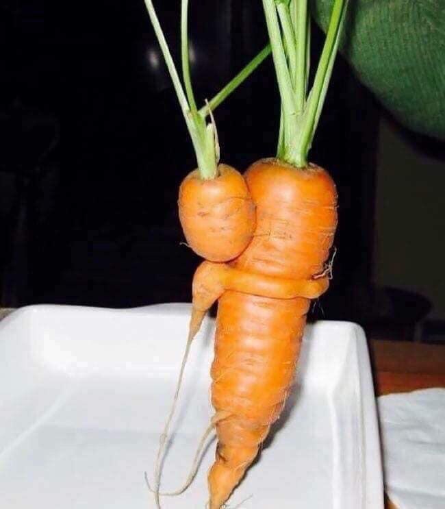 Jeder braucht eine Umarmung 😊