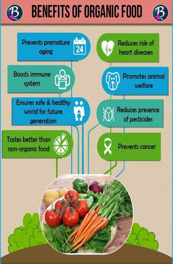BeerahaPlus's tweet image. Benefits of Organic Food