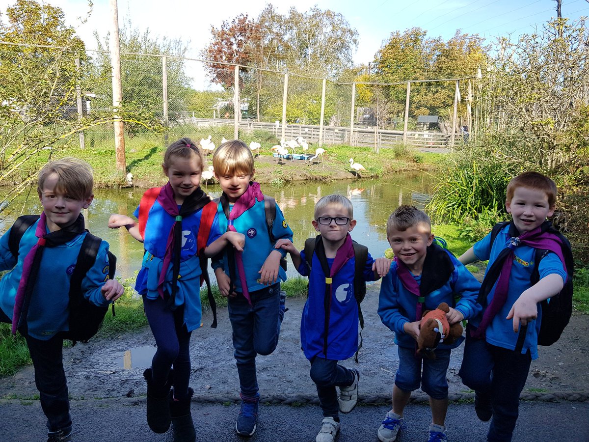 fullwellws's tweet photo. #KentbeaversgoWILD 
@KentBeaverScout 
@WinghamWildlife https://t.co/xQ4uZrBylo
