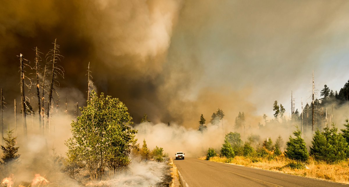 The planet is warming. The cost of natural disasters are borne by all of us in our taxes and our insurance premiums. What are we doing about it? bddy.me/2RKHuMd