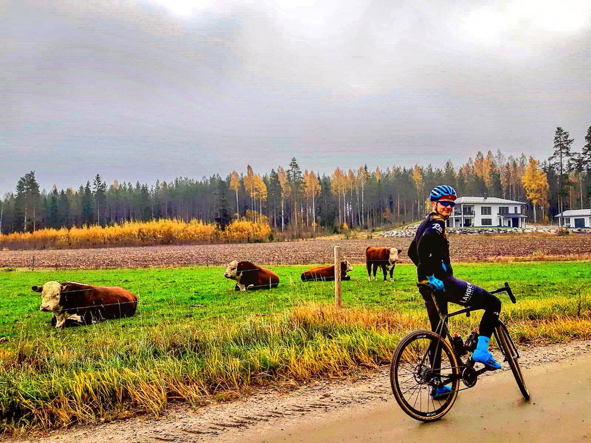 jannelkala's tweet photo. Sonneja aamulenkiltä 🚴♂️ Illalla @LPyorailijat 90 v. juhlat 🥂
#hiekkatiepyöräily #gravelgrinding #pyöräily #synttäribileet #lapy #lahdenpyöräilijät #lahesta
📸 @SamiKajander https://t.co/yddk9AMzTO