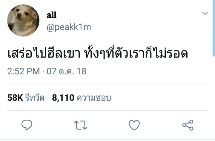 ppterophyta's tweet photo. ให้อิเต้ย #เลือดข้นคนจาง https://t.co/BSb2iNEuHI