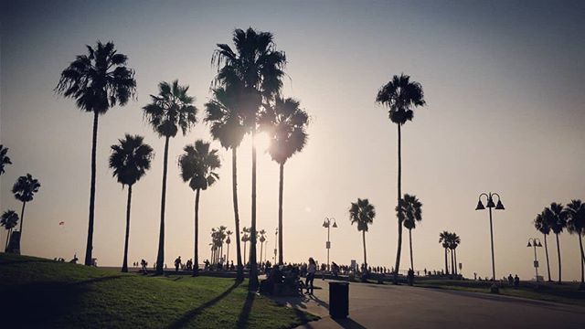 kg2choi's tweet photo. Last year today we were in LA for our honeymoon.  This year we are celebrating in the city we met: Kitchener-Waterloo https://t.co/FFOlXubMjH https://t.co/W5sFE97F7j