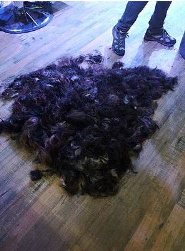 StarfmBrandon's tweet photo. More than $18,000 raised in the @GrimAcres Brave The Shave! - @MrElderXI
https://t.co/1wAcPKpcQG https://t.co/2NKk1jAKoZ