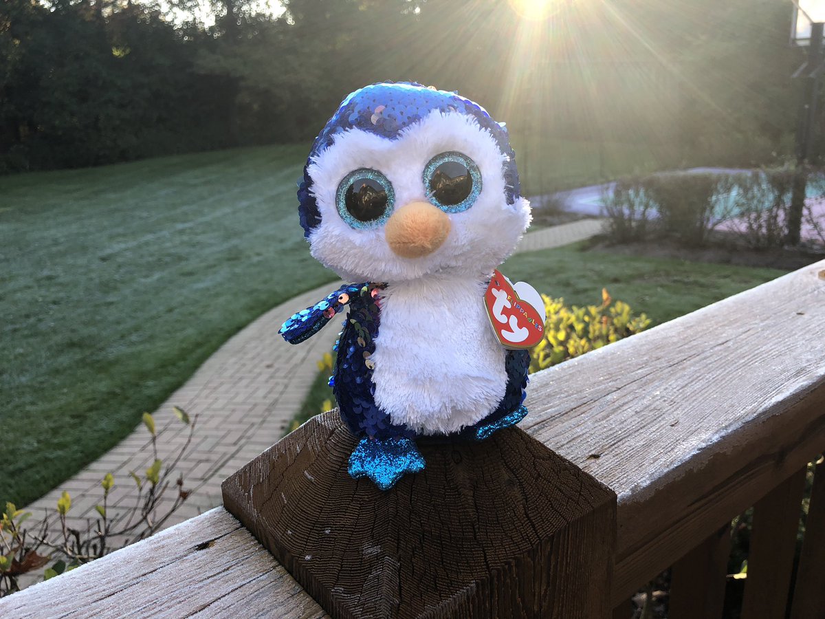 LELakeZurich's tweet image. First frost. @TyInc Payton the new #flippable #beanieboo