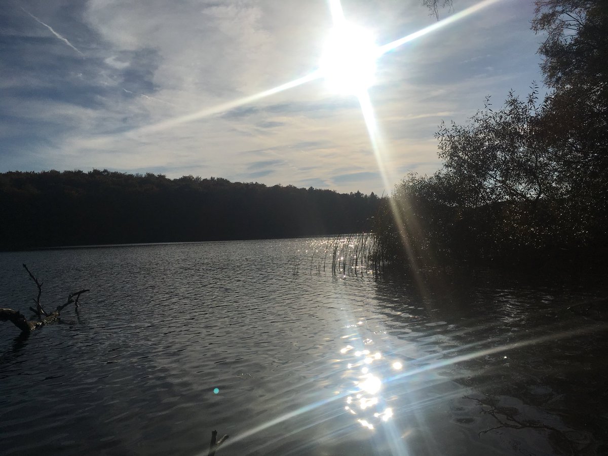 1stBornAndroid's tweet image. Remember to enjoy the nature as well as the streaming, friends!