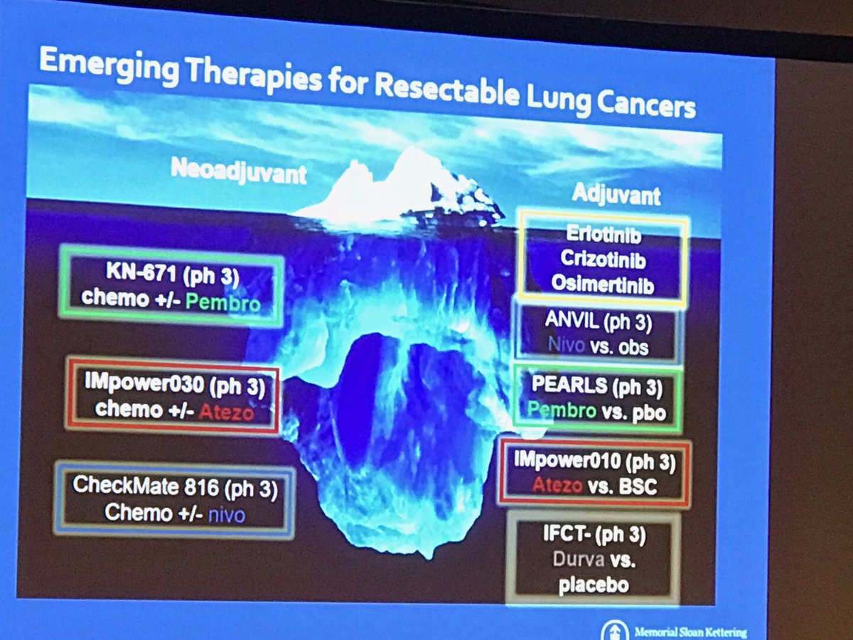 ShandaBlackmon's tweet photo. Excellent immunotherapy talks @AATSED https://t.co/TKzZp7GtsG