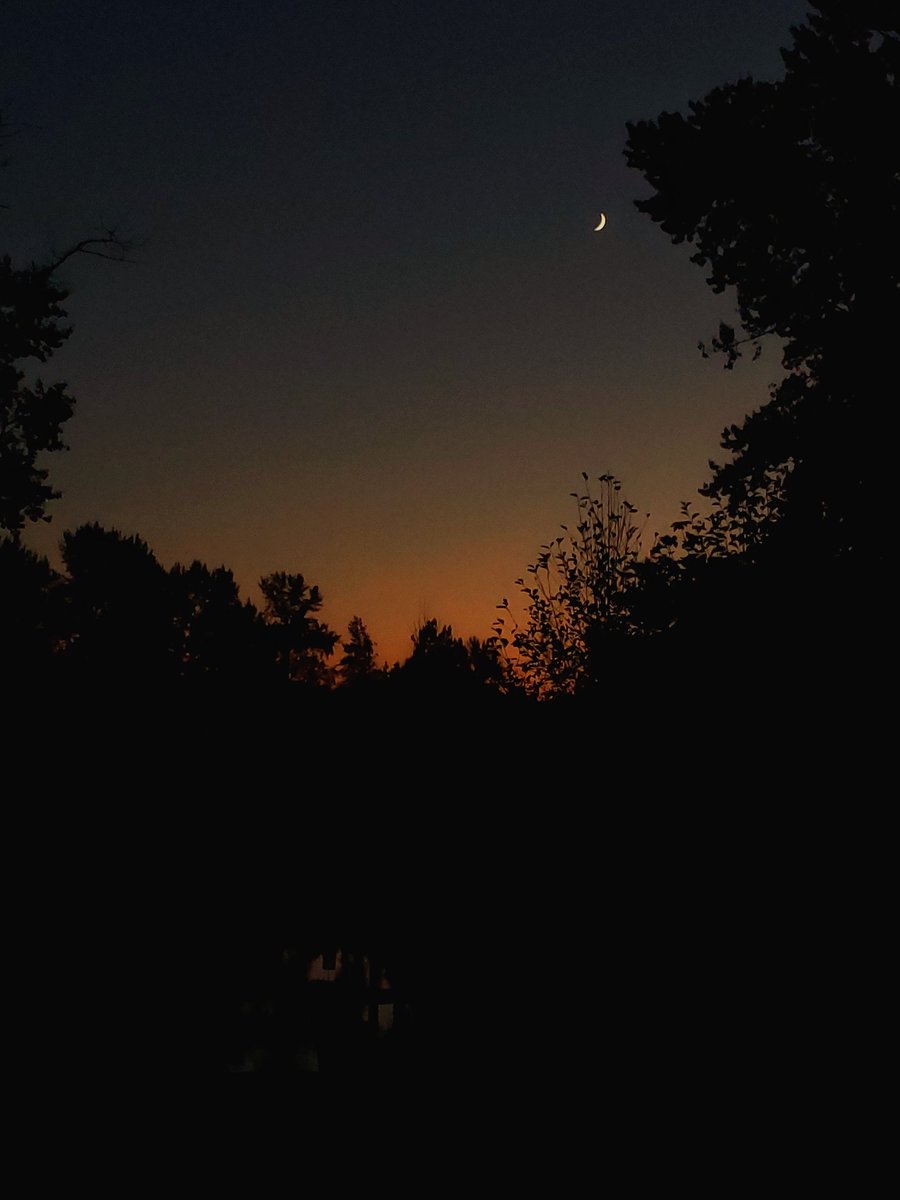 MelissaWolfer's tweet photo. #Sunset #WalkByTheRiver #SamsungNote9 #NoTriPod https://t.co/Etvjv4kgGr