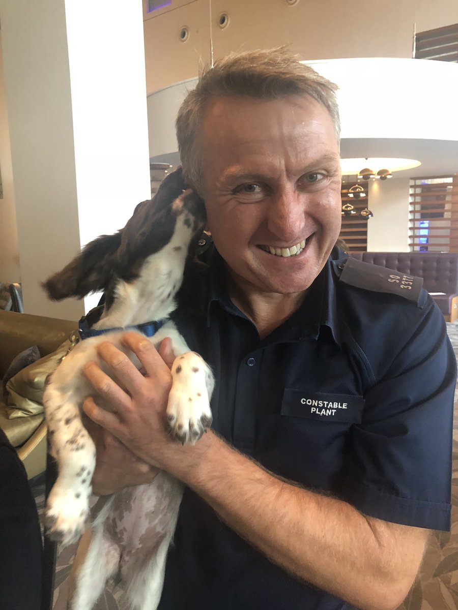 MPSHeathrow's tweet photo. 9 week old puppies Ellie and Zimba have also come down to @HeathrowAirport with @MetTaskforce to join in the @Dreamflight fun. Although Ellie was more interested in chewing ears!! πΆ #puppy #policedogs #tastedgood https://t.co/FSnZwNJ98C