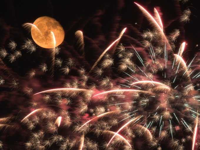 鳳凰のtwitterイラスト検索結果 古い順