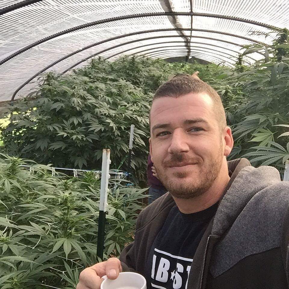 Jake42017's tweet image. My weed farm is doing so well.