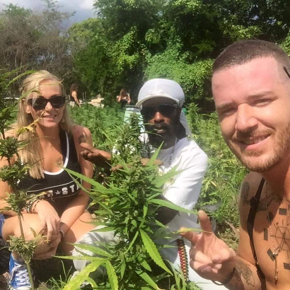 Jake42017's tweet image. Peace