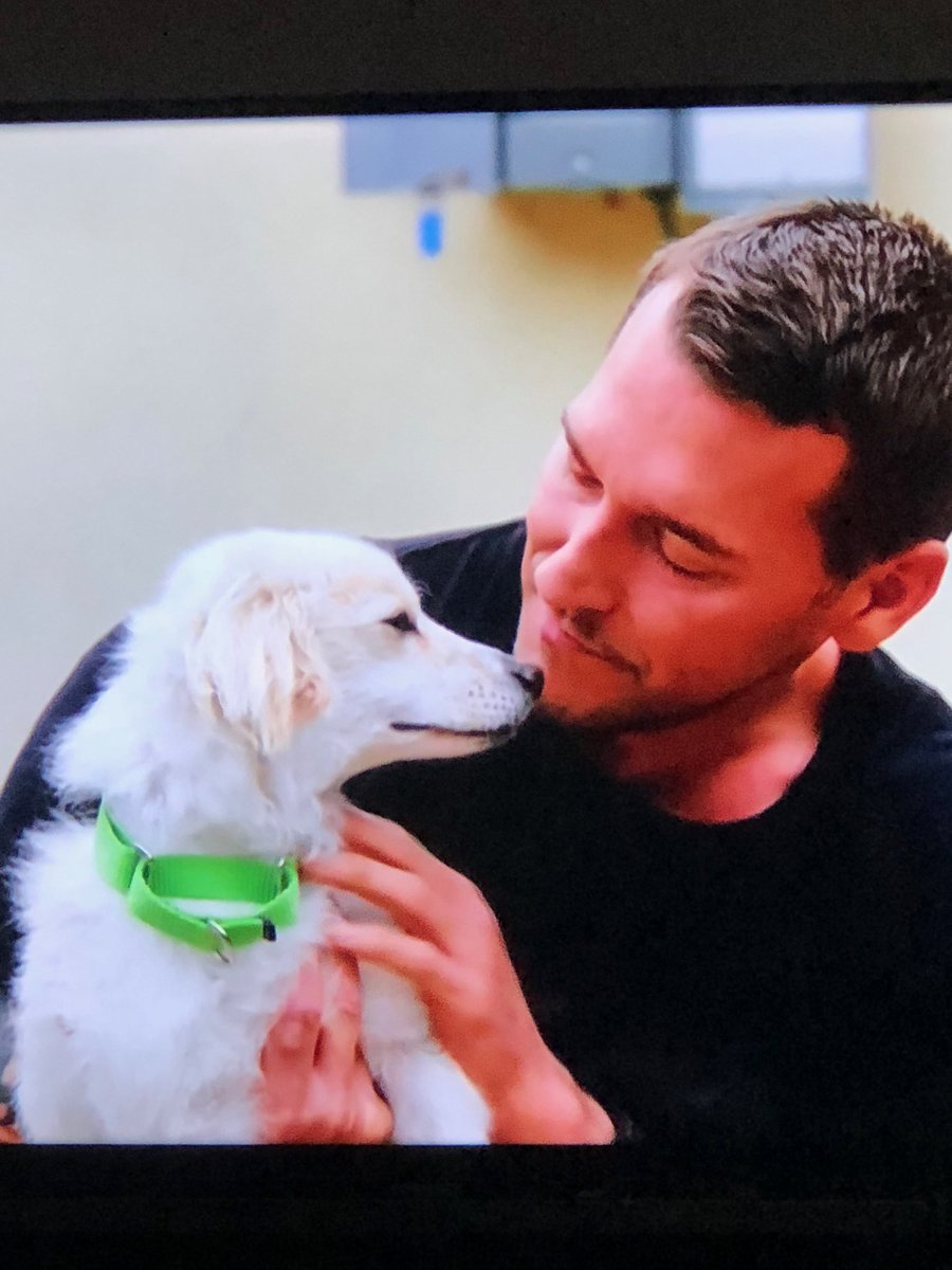 Hipjoanie's tweet image. The BEST part of my Saturday morning...⁦@CBSLuckyDog⁩ ⁦@BrandonMcMillan⁩ ⁦@CBSDreamTeam⁩ #ZEUS  #ItsEpic ❤️🐶