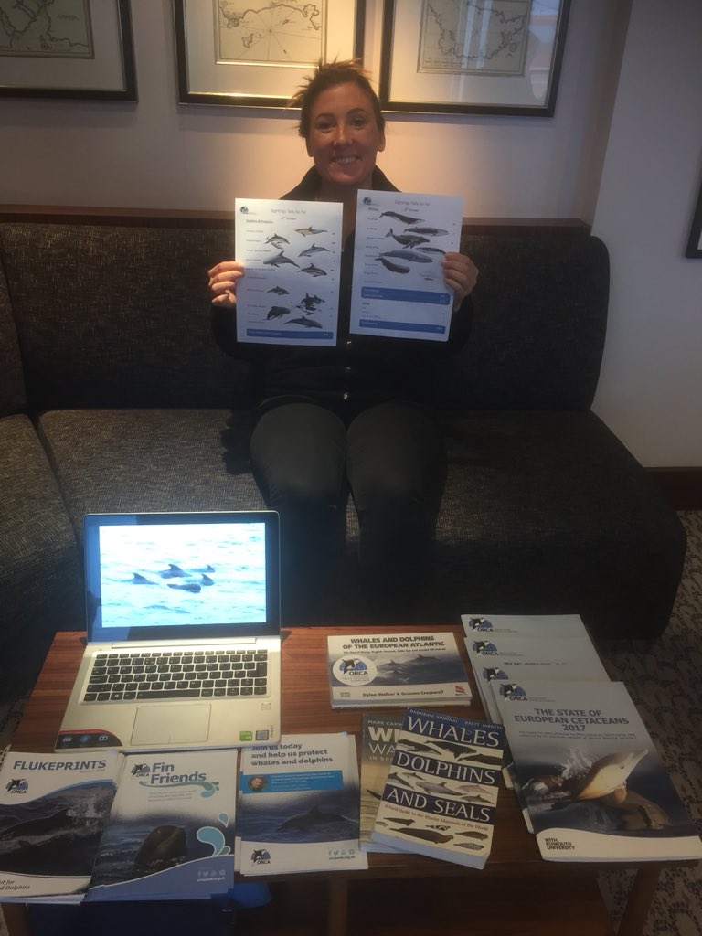 ORCA tweet media