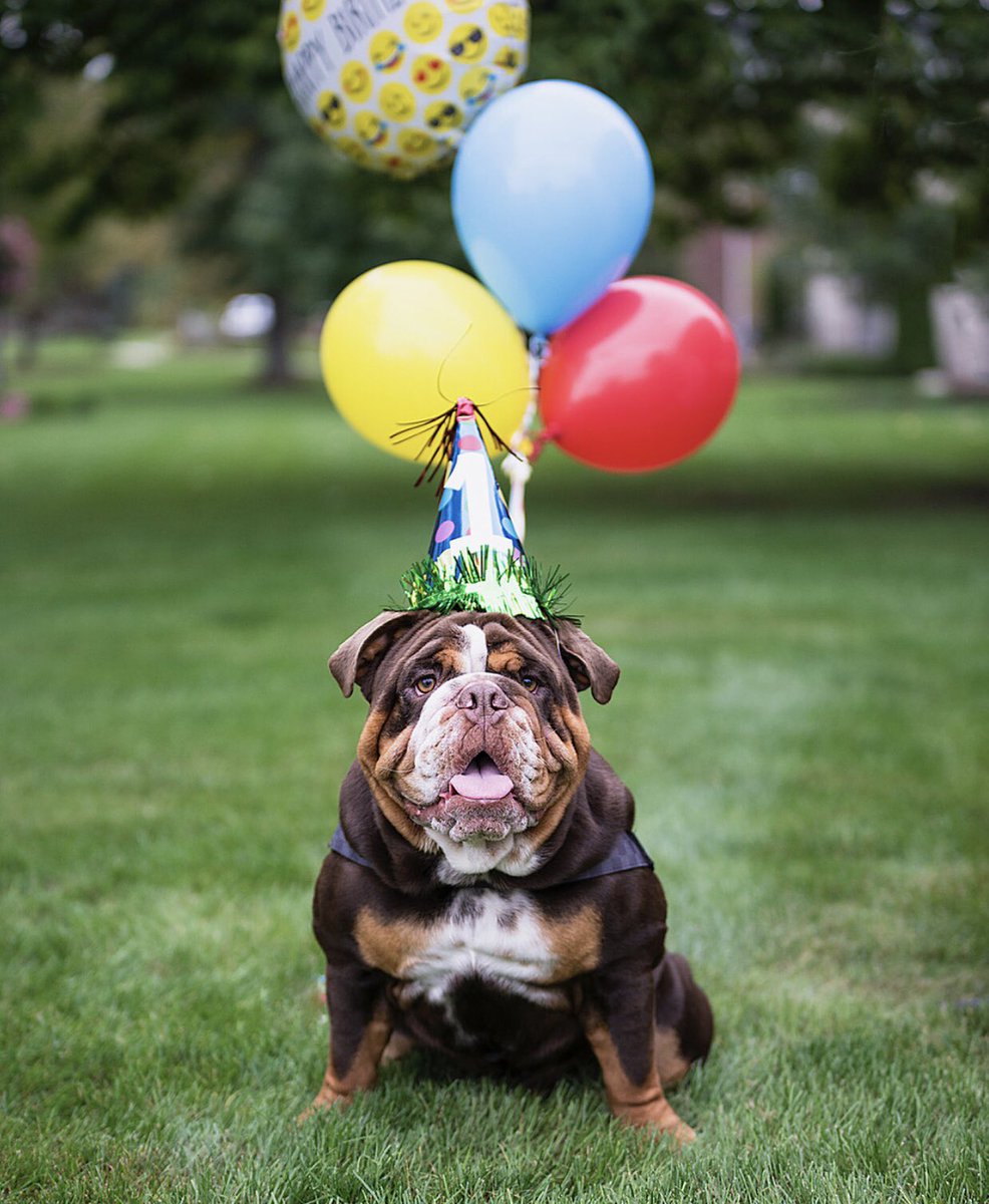 Adrian College tweet media