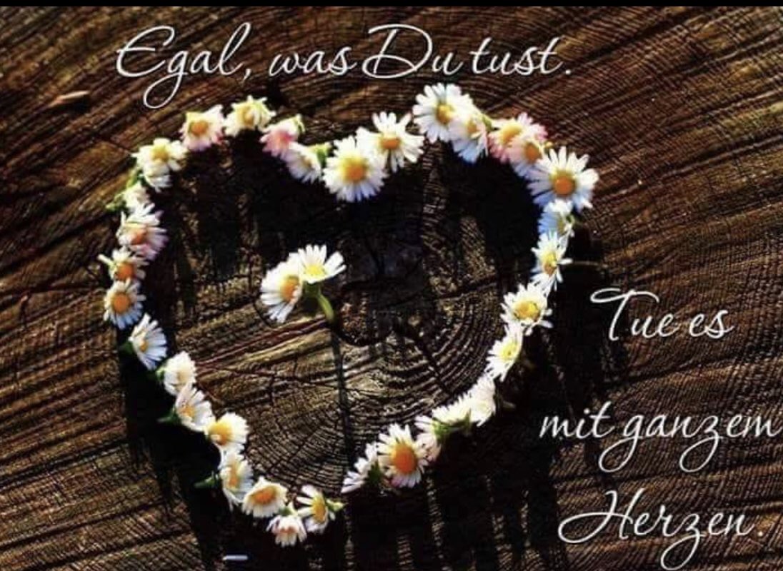 Get Positive vibes sprueche englisch For Android