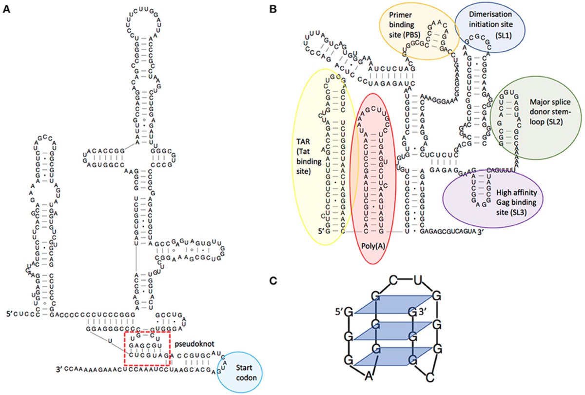 download key insights into basic mechanisms of mental