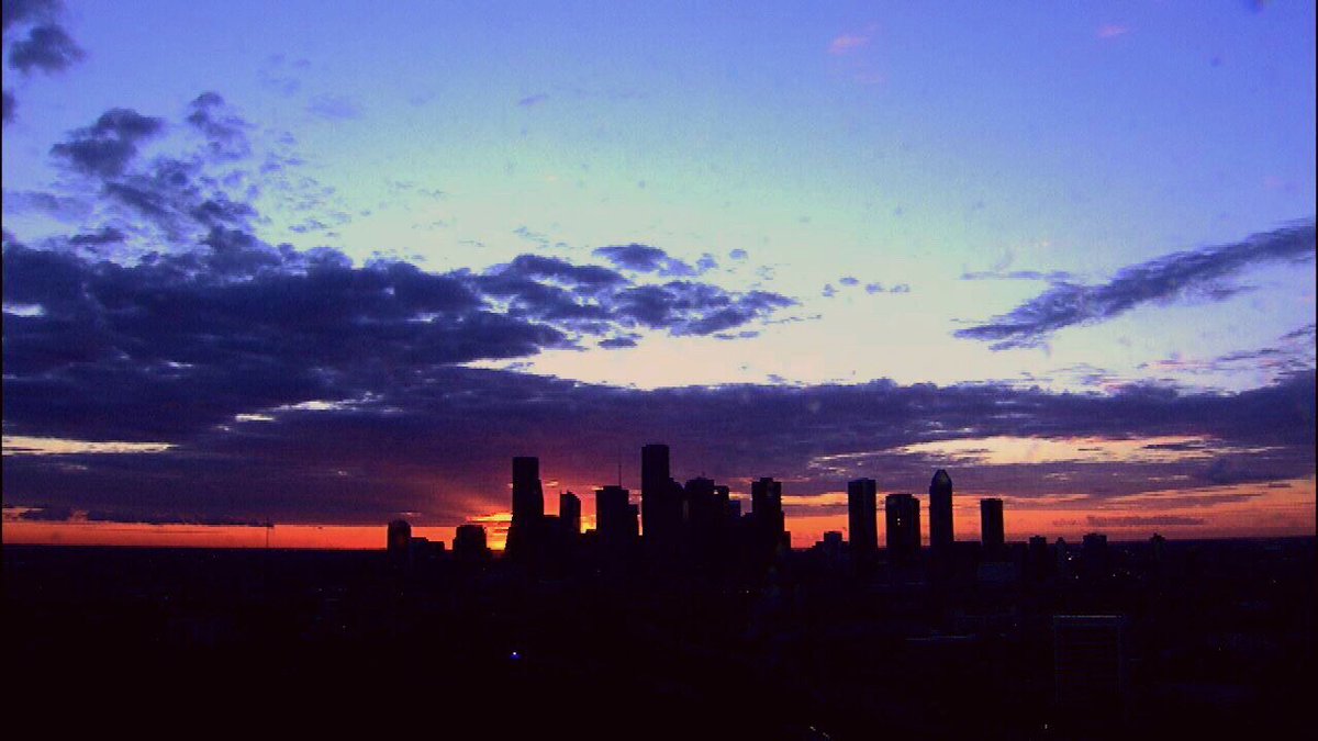 Erica Simon tweet media