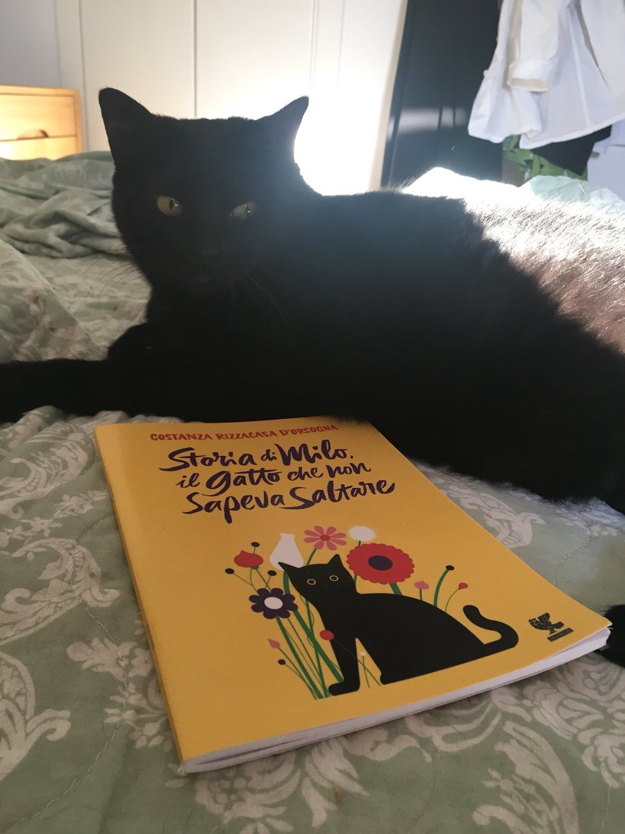 MilaSpicola's tweet photo. “#movimentofelino molto compiaciuto per prime notizie riscontro sull’opera che celebra uno dei suoi più importanti esponenti”
così #Piluffa, presidente del #movimentofelino, sul libro di @CostanzaRdO su @royalgattin https://t.co/jf7iNFSoJc