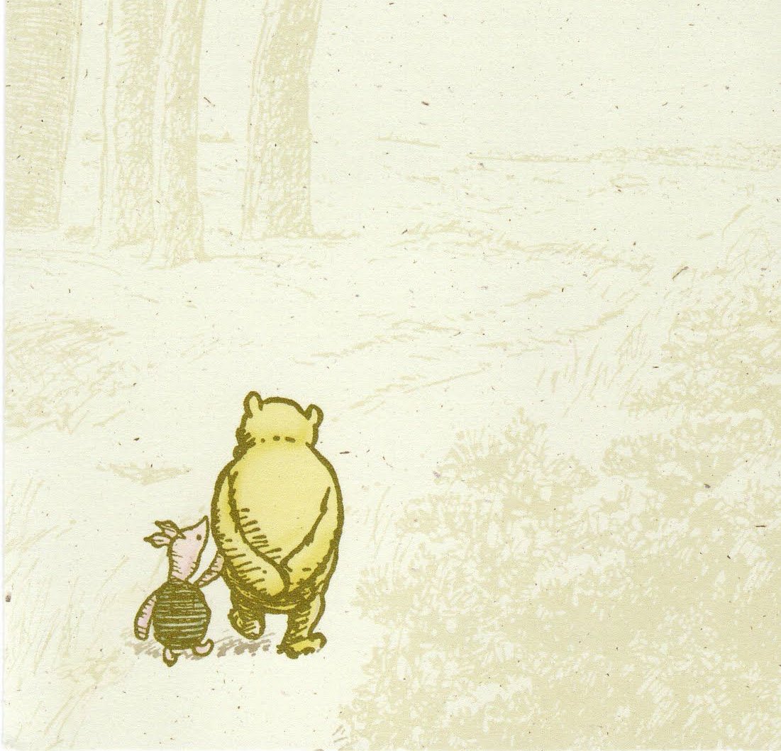 Molly Fox tweet media