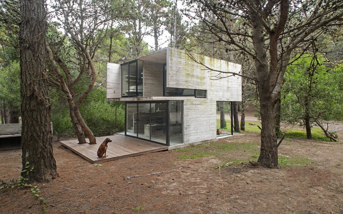 interiorsxdsign's tweet photo. A Minimal Concrete House in The Woods: H3 House by Luciano Kruk #interiordesign https://t.co/xmHy5TYq1Z