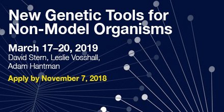 janeliaconf's tweet photo. An @HHMIJanelia conference addressing one of the greatest challenges in working with alternative "non-model" systems. Junior researchers are encouraged to apply! Deadline is Nov 7. https://t.co/eEVP6xRVhO @David_L_Stern @pollyp1 @AdamHantman https://t.co/KUuY4CmWCA