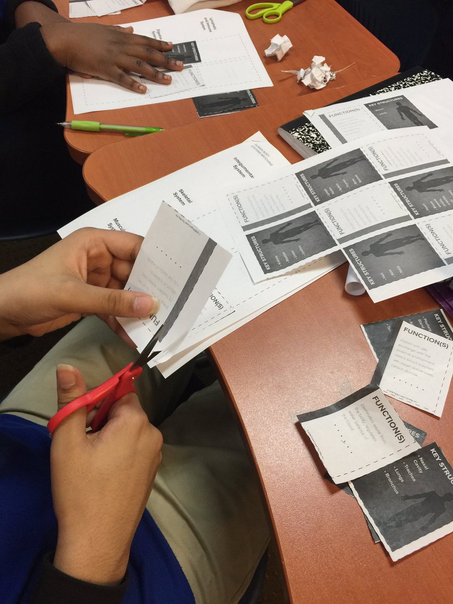 arslancivelek's tweet image. PLTW-Human body system matching activity#hsahoustonhigh1,#stemsos,#stem,#bodysystem,#handsonactivity,#biology