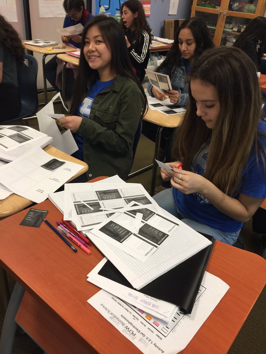 arslancivelek's tweet image. PLTW-Human body system matching activity#hsahoustonhigh1,#stemsos,#stem,#bodysystem,#handsonactivity,#biology