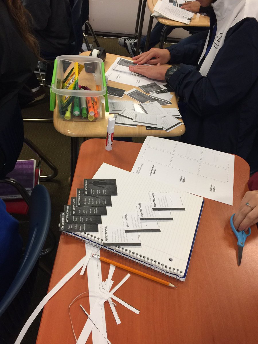 arslancivelek's tweet image. PLTW-Human body system matching activity#hsahoustonhigh1,#stemsos,#stem,#bodysystem,#handsonactivity,#biology