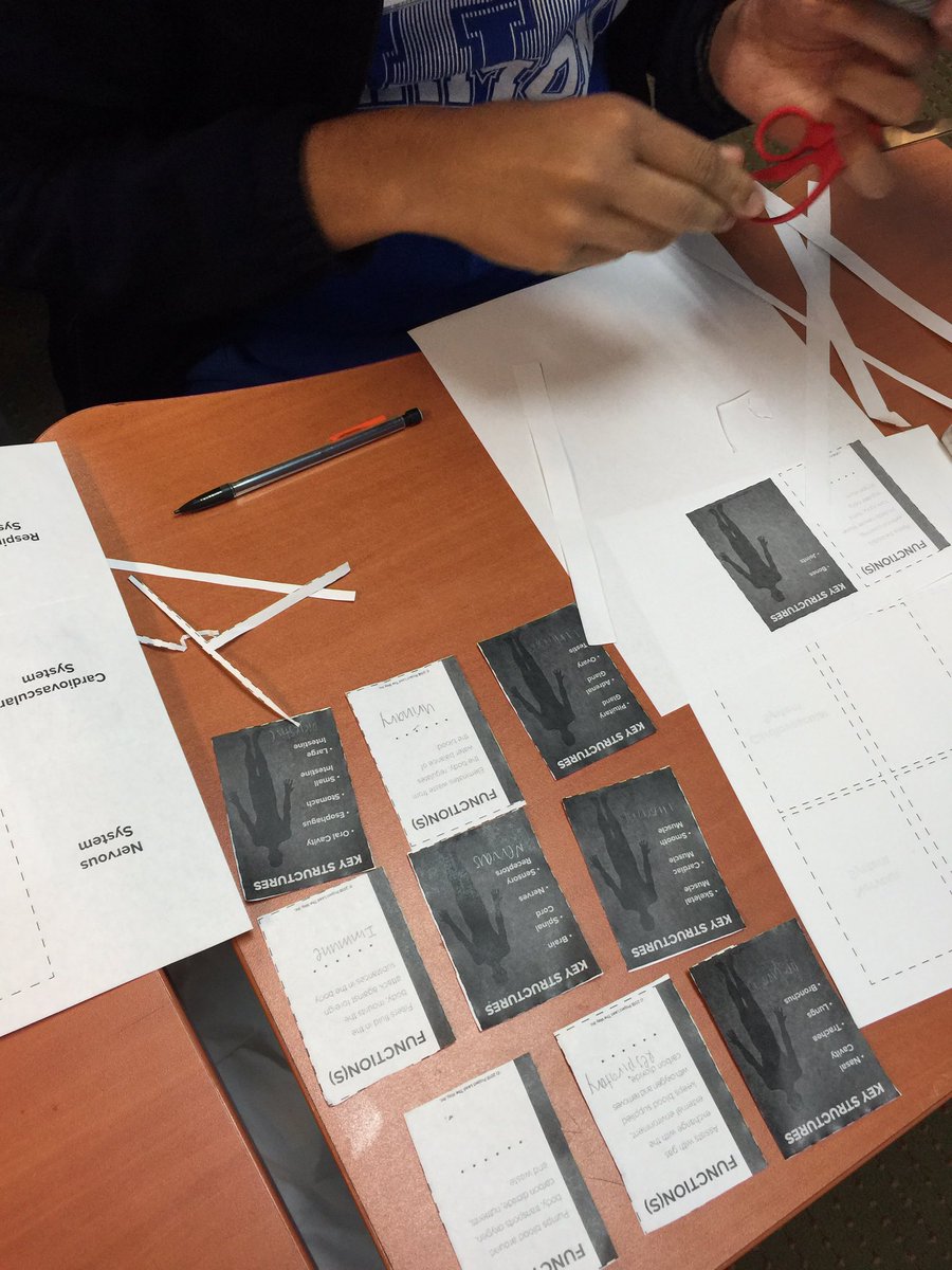 arslancivelek's tweet image. PLTW-Human body system matching activity#hsahoustonhigh1,#stemsos,#stem,#bodysystem,#handsonactivity,#biology