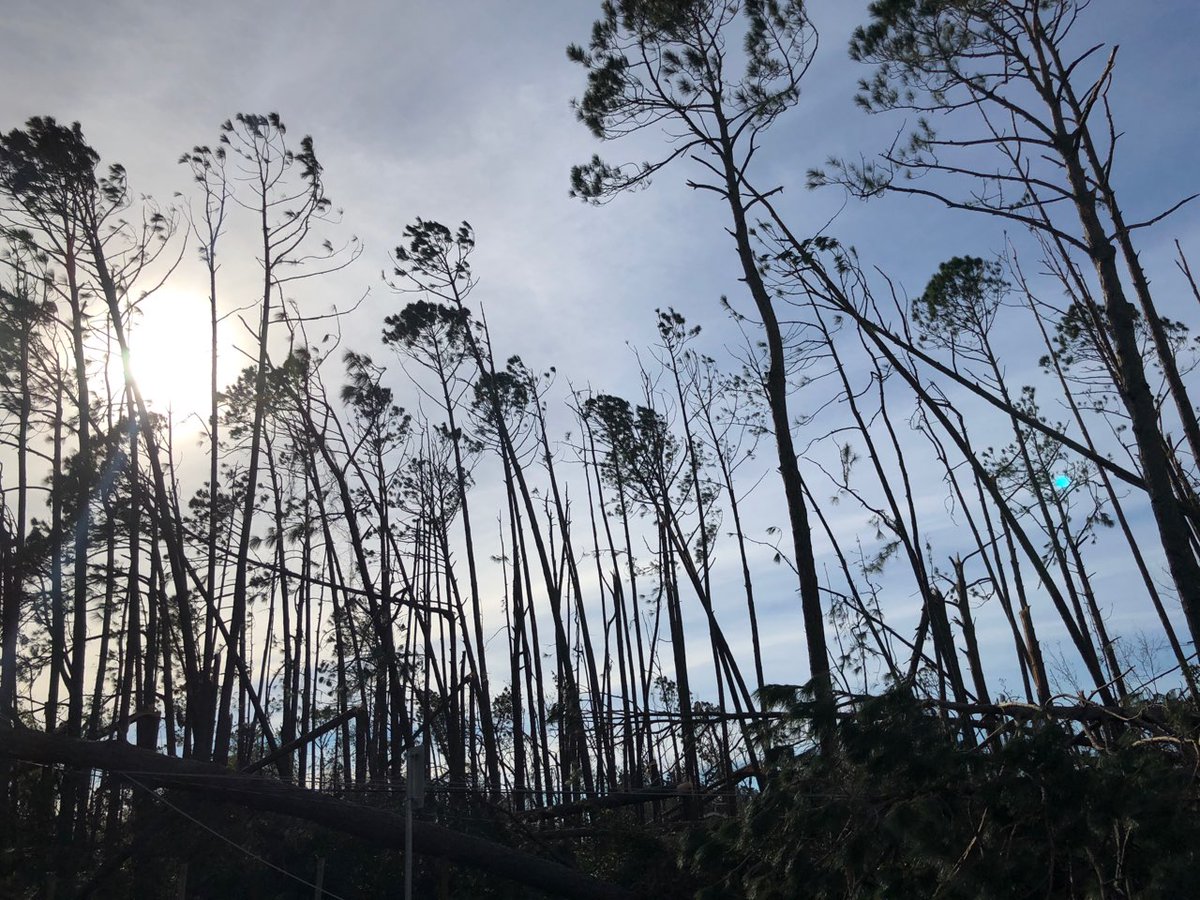 FloridaPPC's tweet photo. Prayers going out to all those impacted by #hurricanemicheal and hugs to all the neighbors coming together to help rebuild lives and refresh spirits. https://t.co/finlxCvSYV