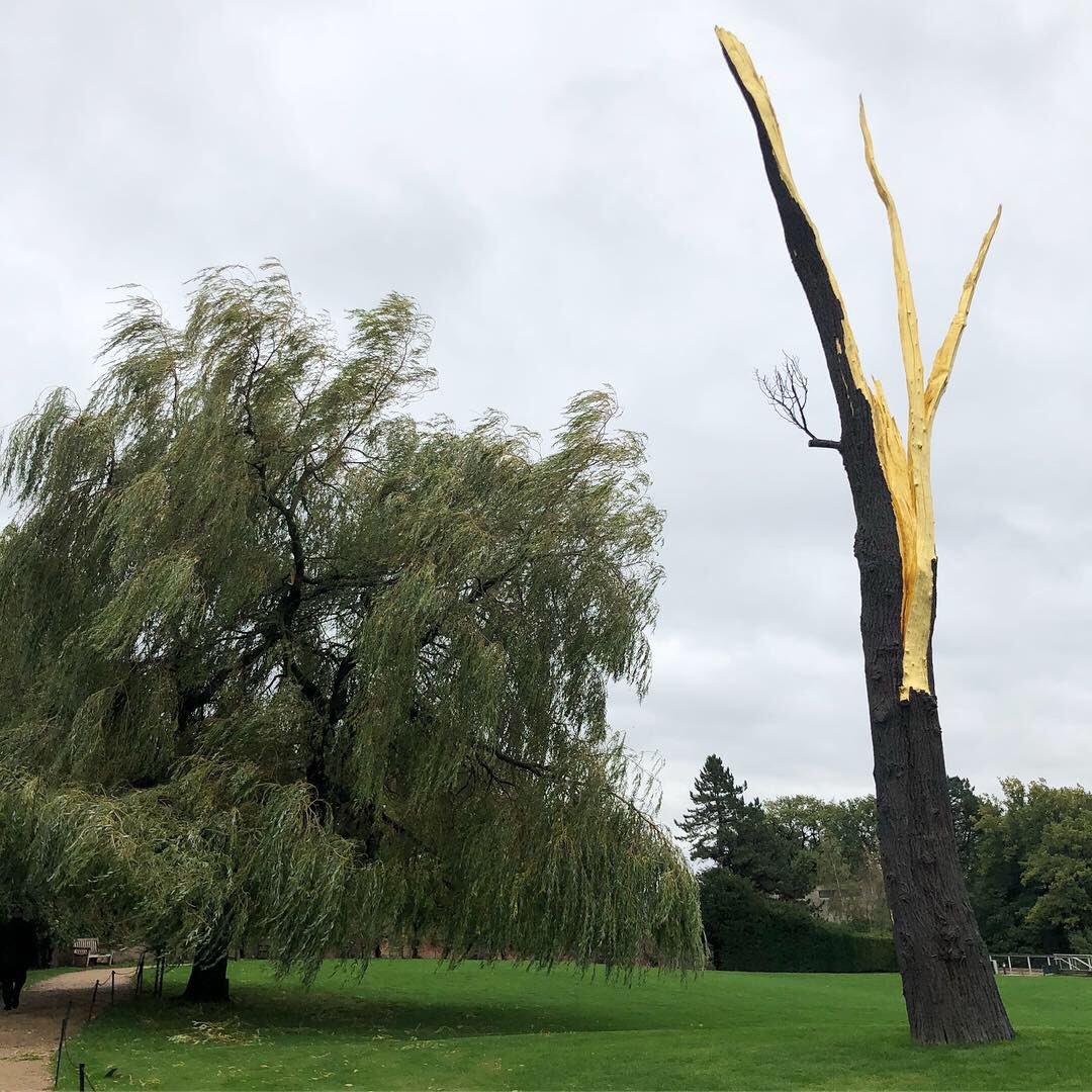 MrJamesLumb's tweet photo. A beautiful windy Saturday at @YSPsculpture! Love the new installations by Giuseppe Penone - ‘A Tree In The Wood’
https://t.co/TYfSq0Nxo1
#ysp #yorkshire #yorkshiresculpturepark #giuseppepenone #sculpture #art #treesome #treesofinstagram #undergroundgallery https://t.co/MovG0lcizc