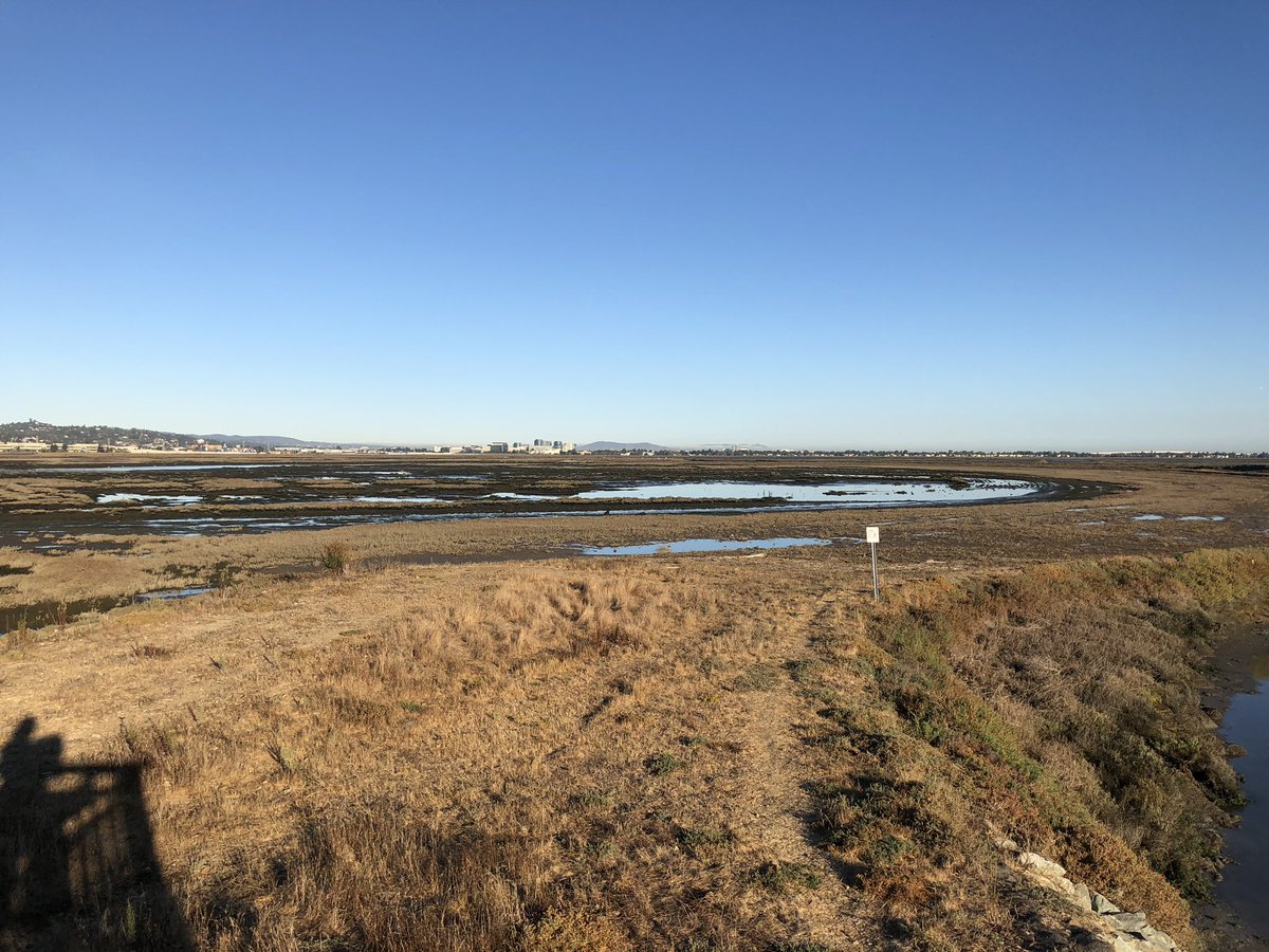 SuperDuperTango's tweet photo. Beautiful Bair Island. Habitat restoration study #RestoreBair2 https://t.co/VHJ1zqeBxK