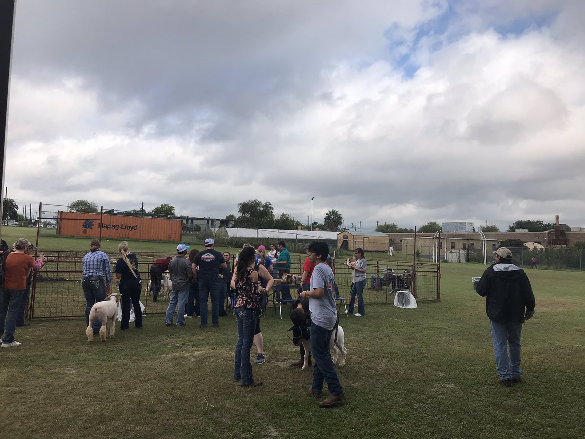 Come rain or shine Clifton CDS Prospect Show will go on!