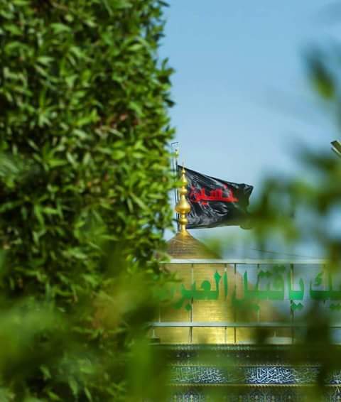 ZirwaZainab's tweet image. صعوبت کا سفر رکھا گیا ہے
کہیں صحرا میں گھر رکھا گیا ہے
وسیلہ ہے حسین ابنِ علی کا
دعا میں یوں اثر رکھا گیا ہے
#hussainsavehumanity