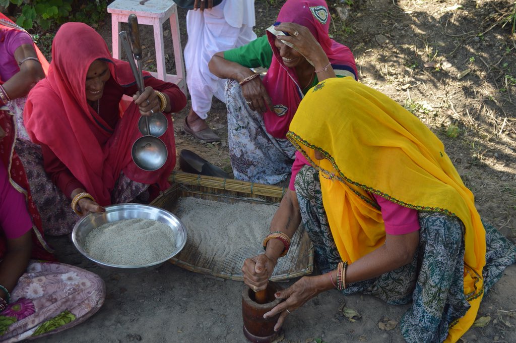 NavdanyaBija's tweet image. We will grow gardens &amp;amp; food everywhere till the planet becomes a garden of nutrition, garden of biodiversity and garden of peace. #worldfoodday #womenfarmersday 
#foodheritage #poisonfree @drvandanashiva @RenateKuenast @RachelsNews @IFOAMorganic @occupytheseed @NavdanyaInt