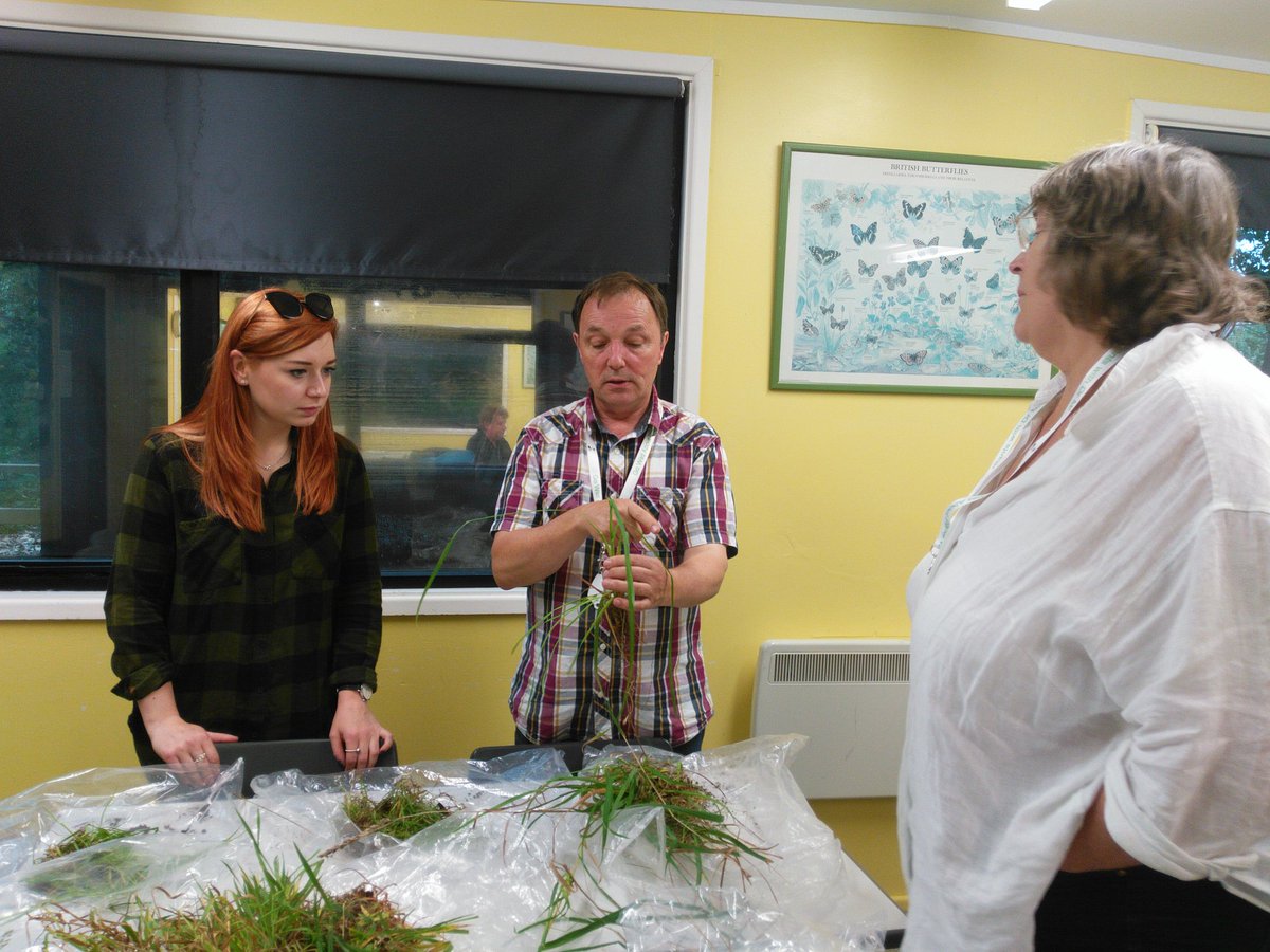 Debbie1Alston's tweet photo. A vegetative grass masterclass from @drmgoeswild #BSBIRecordersConference https://t.co/ysncnGRjsM