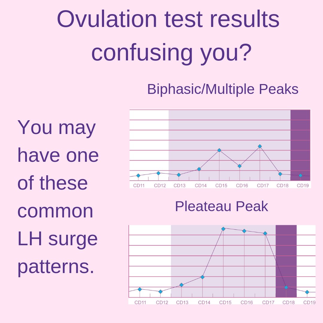 Premom Ovulation Chart