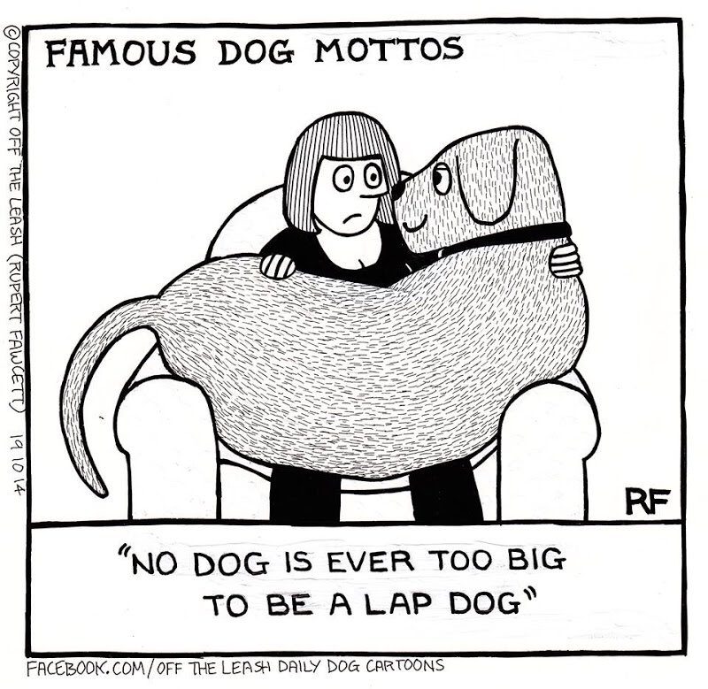 RupertFawcett's tweet photo. Famous Dog Mottos
#nevertobig #bigdogs #lapdogs #dogs #dogcartoons #offtheleash #rupertfawcett https://t.co/cEpfQVlwL6