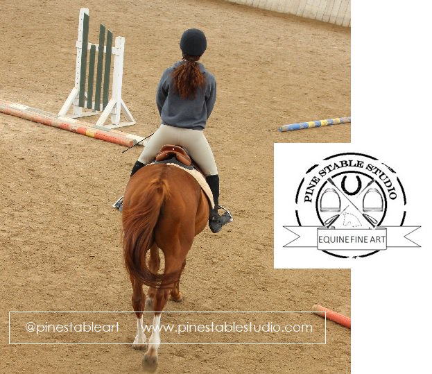 Remember to do a 5-10 min warmup with your #horse before increasing avtivity. #horses #equestrians #equines #horsehour