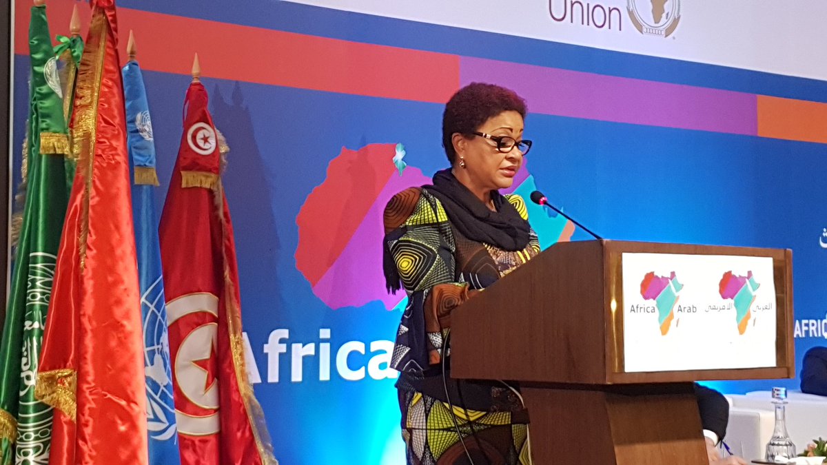 aej_malawi's tweet photo. @afarp2018 @AfricanUnionUN @African Supports DRR efforts.Calls for support in areas such as  research ,  technology, innovation,  collaboration and resource mobilisation. Tunisia declaration to be presented to AU for adoption. Joint meeting a success, to improve collaboration https://t.co/8ftRv2wTpo
