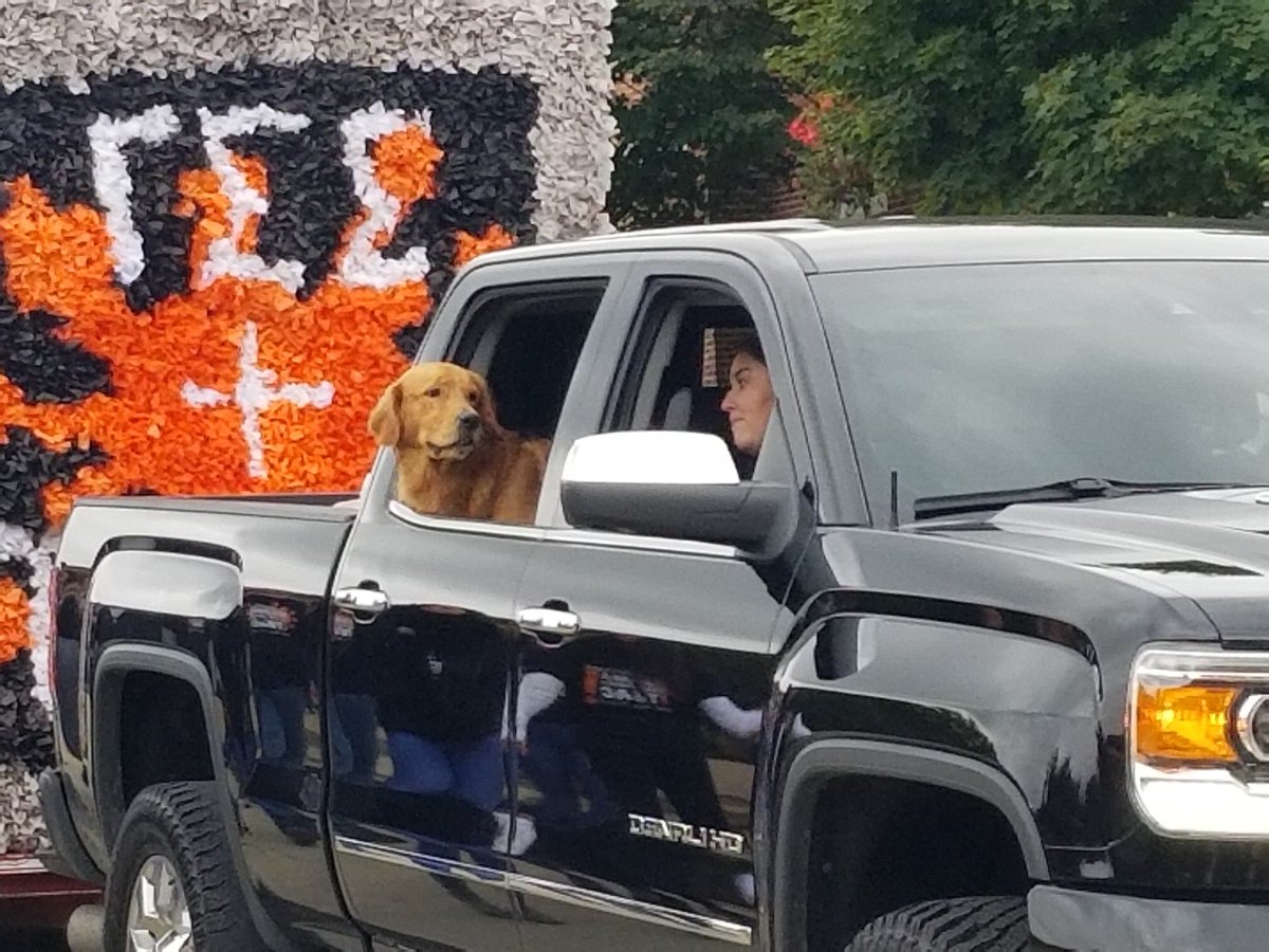 PennWCalifornia's tweet photo. Even Cal U dogs are getting in on the parade fun! 🐶🔴⚫️#CalUHoco18 https://t.co/nF0dglXAR0