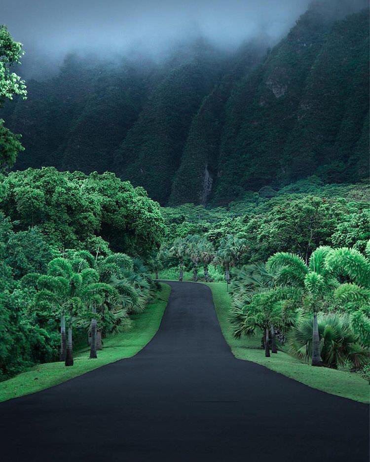 Cousin_Craig_'s tweet photo. Lincoln Drive in Philadelphia, PA 😍😍😍 https://t.co/S83GzPMePA