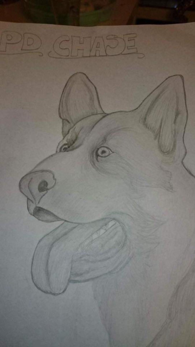 PSOSDogs's tweet image. One of our lovely followers @mt_sargent has done some drawings for us, we love them so much we thought we need to share them with twitter world. Here's #PDChase 🐾😍