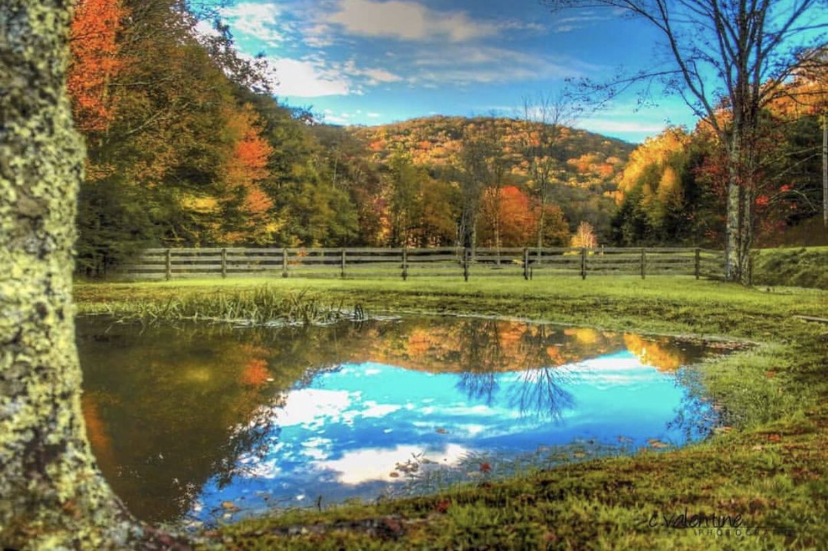 Fall colors have been spotted in #NorthCarolina

📍Banner Elk
📷 by @cvalentinephotography 

#tristaradventures #instagramtennessee #nashvilleexplorersclub #northcarolinaliving #naturalnorthcarolina #northcarolinaoutdoors #carolina