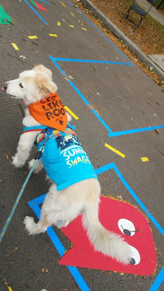 TravelByBubble's tweet photo. More from the @CCR_pups #muttstrut #pacman #muttstrut2018 #80sPup https://t.co/ewxZGAmJFR