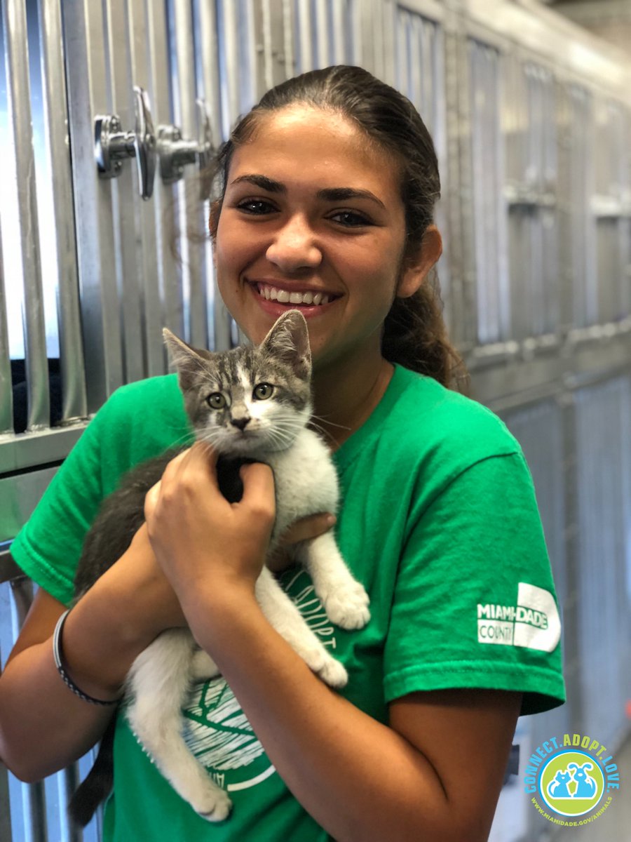 AdoptMiamiPets's tweet photo. It's #Caturday! Are you looking for the purr-fect match to cuddle, snuggle, or play around with? Well, stop by our #ASDMegaMatch and you can find your purr-fect match today! We have many #ASDPets looking for their furever homes today! https://t.co/qChr9GtZqM